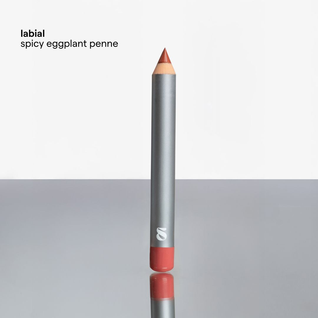 Spicy Eggplant Penne labial