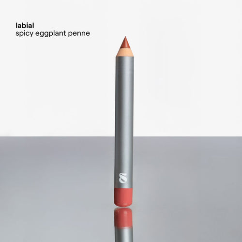 Spicy Eggplant Penne labial