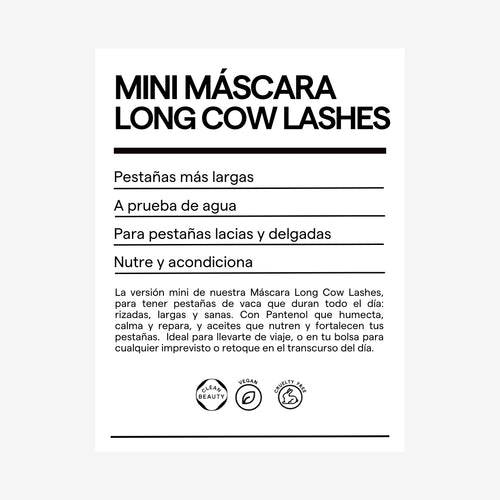 KIT MAKEUP EL FANTASMA DE PLATA