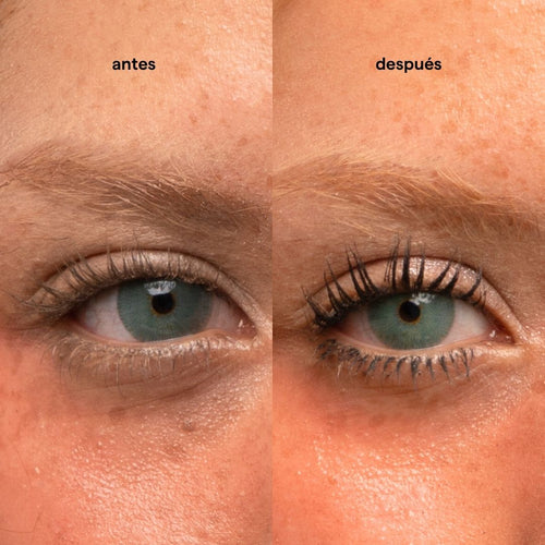 KIT PR - VOLUME HORSE LASHES