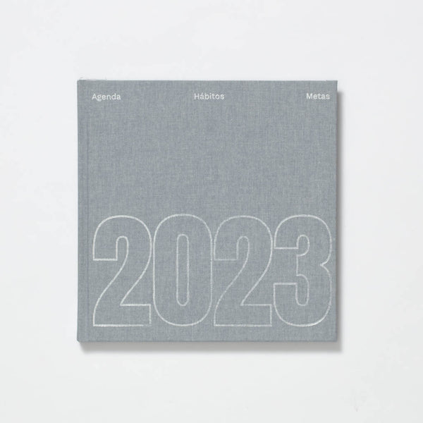 L.o.l. surprise ! - pochette anniversaire : Collectif - Agenda 2023 -  Agendas - Calendriers